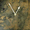 natural clocks