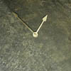 natural clocks