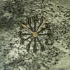 natural clocks