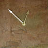natural clocks