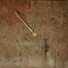 natural clocks