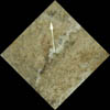 natural clocks