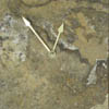 natural clocks