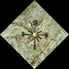 natural clocks