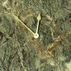MARBLE WALL CLOCKS